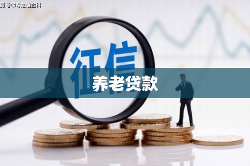 嘉兴养老贷款