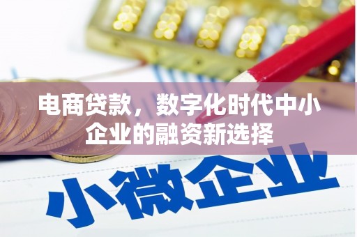嘉兴电商贷款，数字化时代中小企业的融资新选择