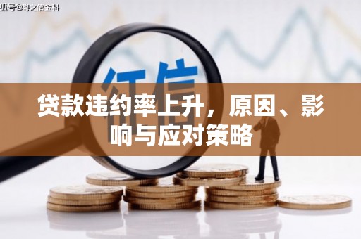 嘉兴贷款违约率上升，原因、影响与应对策略