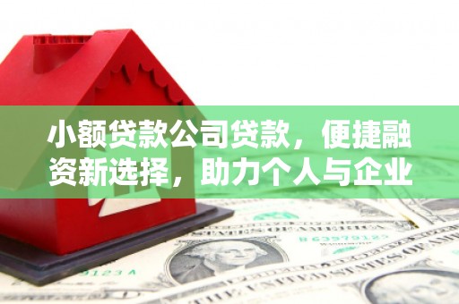 嘉兴小额贷款公司贷款，便捷融资新选择，助力个人与企业成长