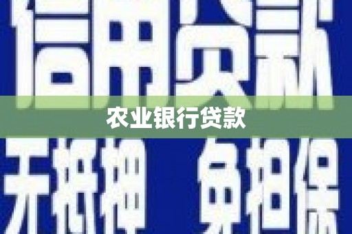嘉兴农业银行贷款