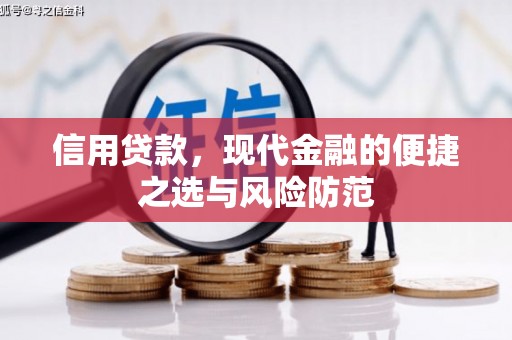 嘉兴信用贷款，现代金融的便捷之选与风险防范