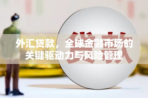 嘉兴外汇贷款，全球金融市场的关键驱动力与风险管理