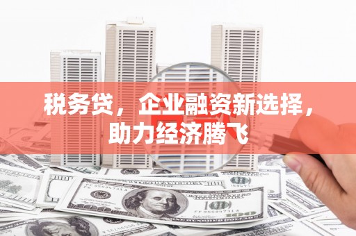 嘉兴税务贷，企业融资新选择，助力经济腾飞