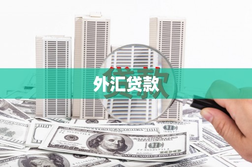嘉兴外汇贷款