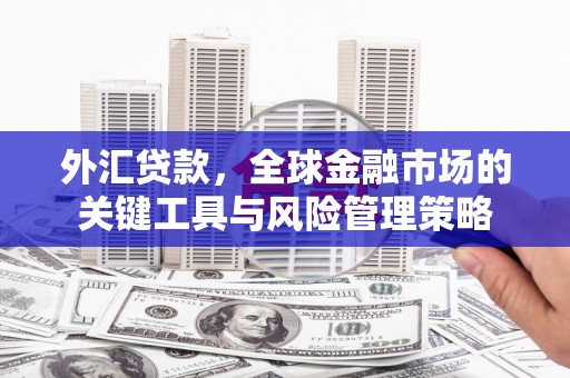 嘉兴外汇贷款，全球金融市场的关键工具与风险管理策略