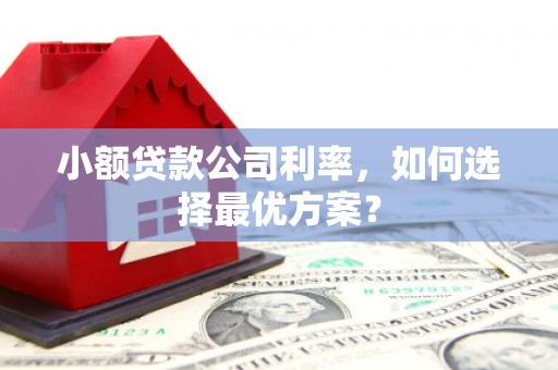 嘉兴小额贷款公司利率，如何选择最优方案？