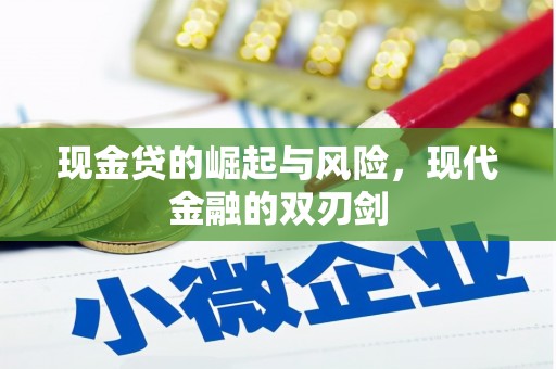 嘉兴现金贷的崛起与风险，现代金融的双刃剑