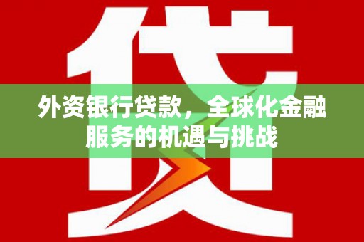 嘉兴外资银行贷款，全球化金融服务的机遇与挑战