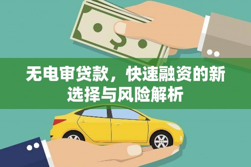嘉兴无电审贷款，快速融资的新选择与风险解析