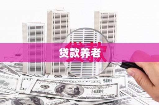 嘉兴贷款养老