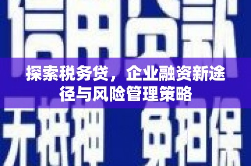 嘉兴探索税务贷，企业融资新途径与风险管理策略
