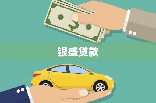嘉兴银盛贷款