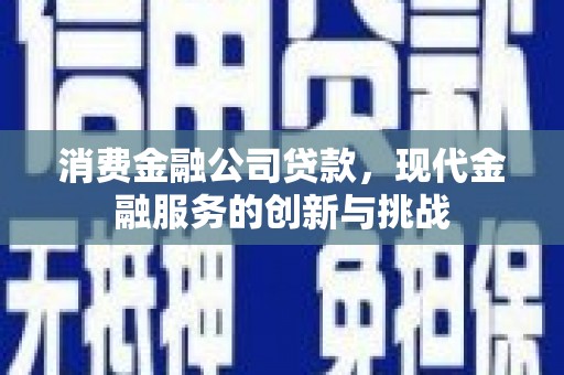 嘉兴消费金融公司贷款，现代金融服务的创新与挑战