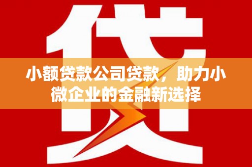 嘉兴小额贷款公司贷款，助力小微企业的金融新选择