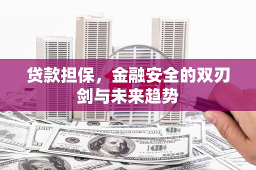 嘉兴贷款担保，金融安全的双刃剑与未来趋势