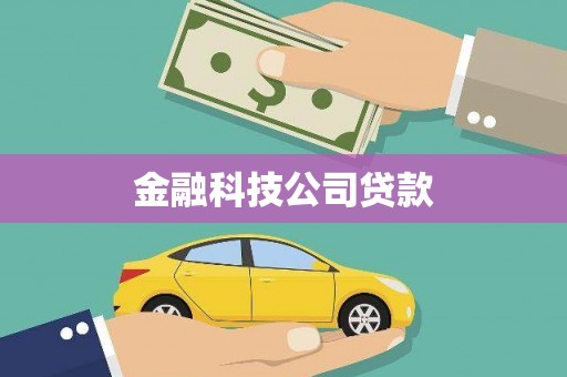 嘉兴金融科技公司贷款