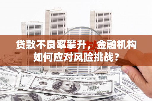 嘉兴贷款不良率攀升，金融机构如何应对风险挑战？