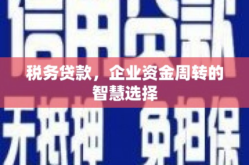 嘉兴税务贷款，企业资金周转的智慧选择