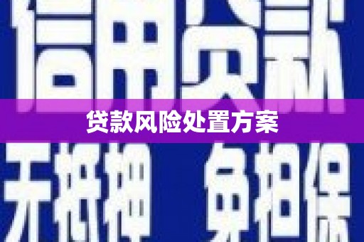 嘉兴贷款风险处置方案