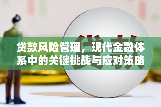 嘉兴贷款风险管理，现代金融体系中的关键挑战与应对策略