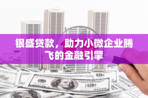 嘉兴银盛贷款，助力小微企业腾飞的金融引擎