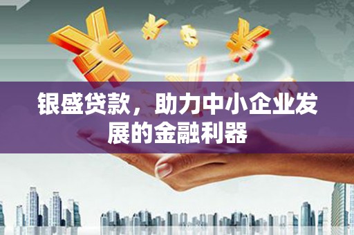 嘉兴银盛贷款，助力中小企业发展的金融利器