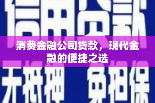 嘉兴消费金融公司贷款，现代金融的便捷之选