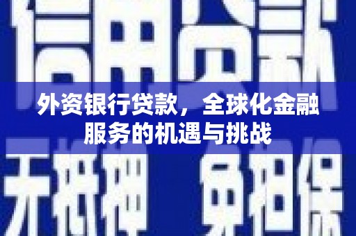 嘉兴外资银行贷款，全球化金融服务的机遇与挑战