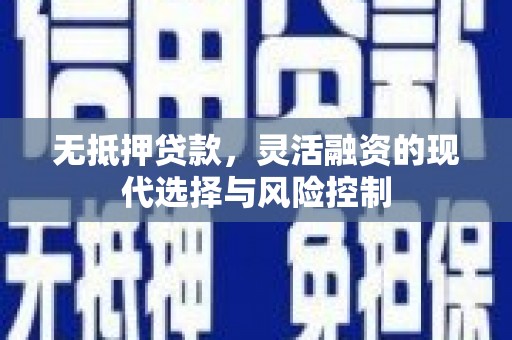 嘉兴无抵押贷款，灵活融资的现代选择与风险控制