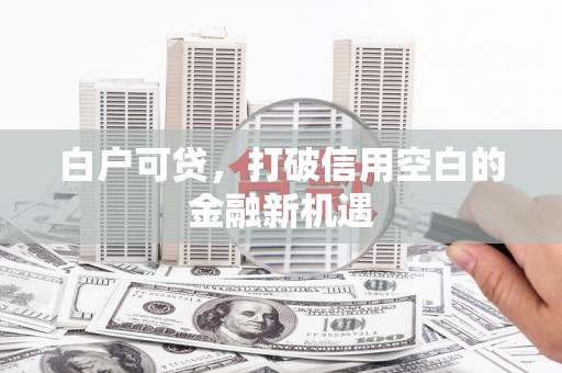 嘉兴白户可贷，打破信用空白的金融新机遇