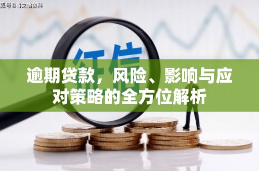 嘉兴逾期贷款，风险、影响与应对策略的全方位解析
