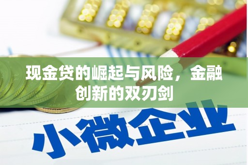 嘉兴现金贷的崛起与风险，金融创新的双刃剑