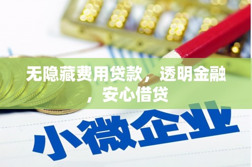 嘉兴无隐藏费用贷款，透明金融，安心借贷