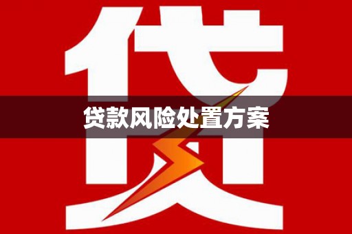 嘉兴贷款风险处置方案