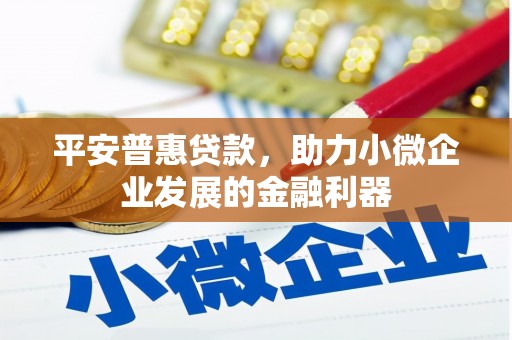 嘉兴平安普惠贷款，助力小微企业发展的金融利器