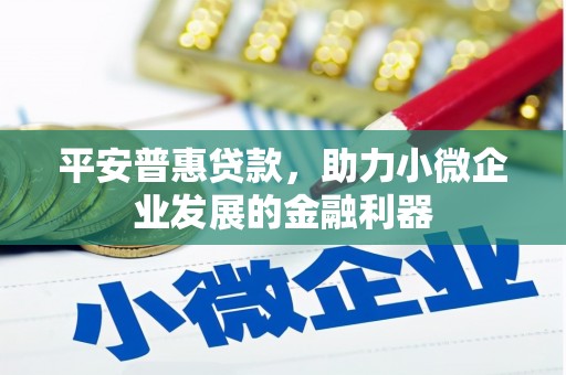 嘉兴平安普惠贷款，助力小微企业发展的金融利器