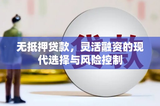 嘉兴无抵押贷款，灵活融资的现代选择与风险控制