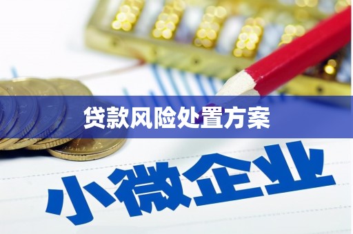 嘉兴贷款风险处置方案