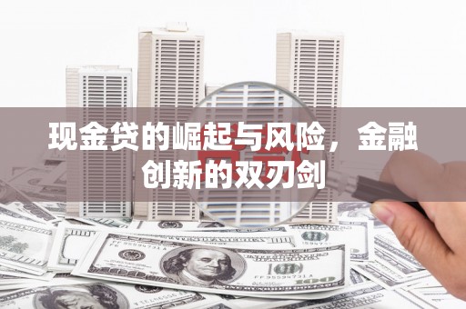 嘉兴现金贷的崛起与风险，金融创新的双刃剑