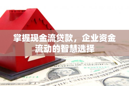 嘉兴掌握现金流贷款，企业资金流动的智慧选择