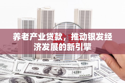 嘉兴养老产业贷款，推动银发经济发展的新引擎