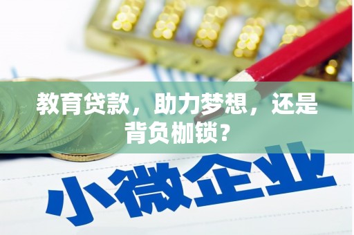 嘉兴教育贷款，助力梦想，还是背负枷锁？
