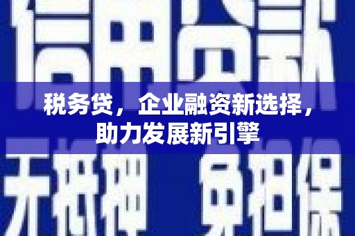 嘉兴税务贷，企业融资新选择，助力发展新引擎