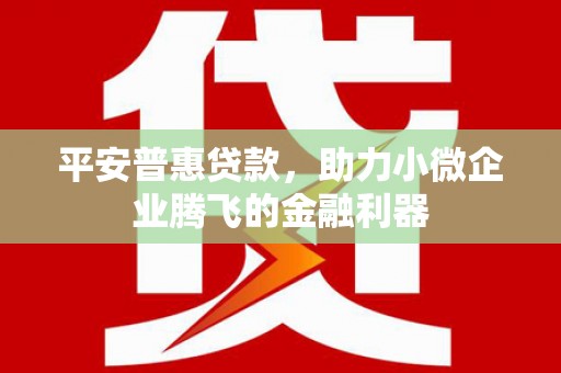 嘉兴平安普惠贷款，助力小微企业腾飞的金融利器
