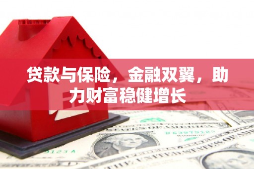 嘉兴贷款与保险，金融双翼，助力财富稳健增长