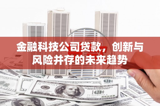 嘉兴金融科技公司贷款，创新与风险并存的未来趋势