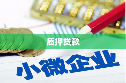 嘉兴质押贷款