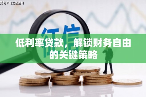 嘉兴低利率贷款，解锁财务自由的关键策略