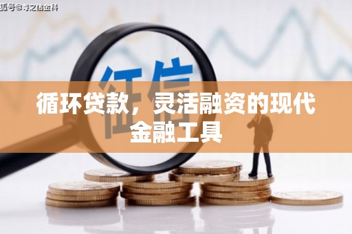 嘉兴循环贷款，灵活融资的现代金融工具